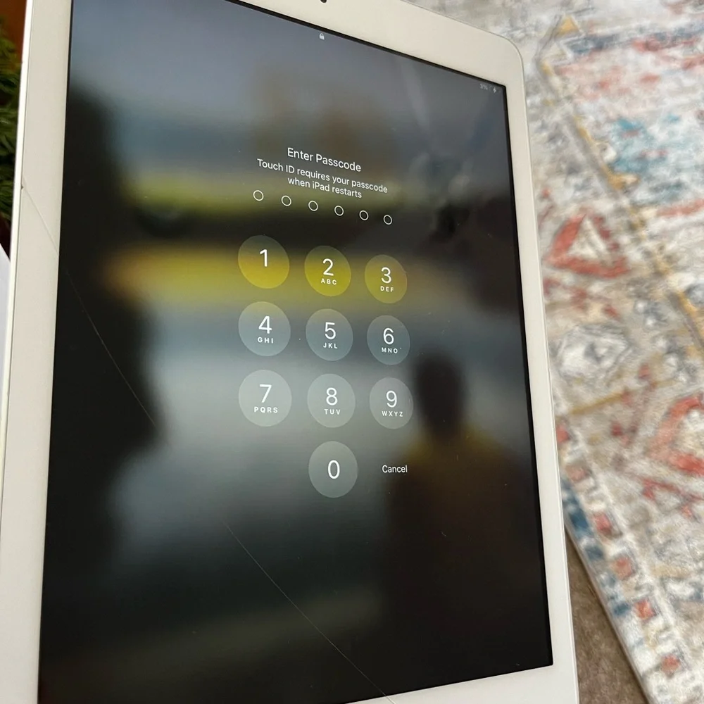 Locked Apple iPad - Silver